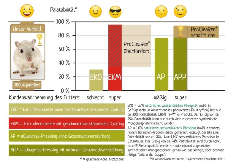 Chronische Niereninsuffizienz der Katze - CatsMouse